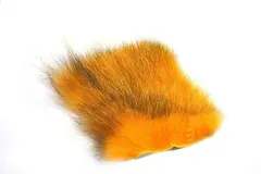 American Opossum Golden Carrot FutureFly